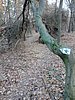 photo_005.jpg