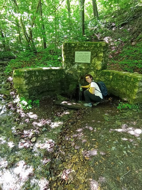 photo007.jpg