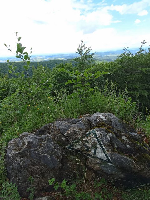 photo008.jpg