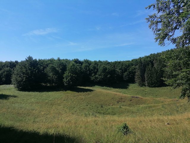 photo034.jpg