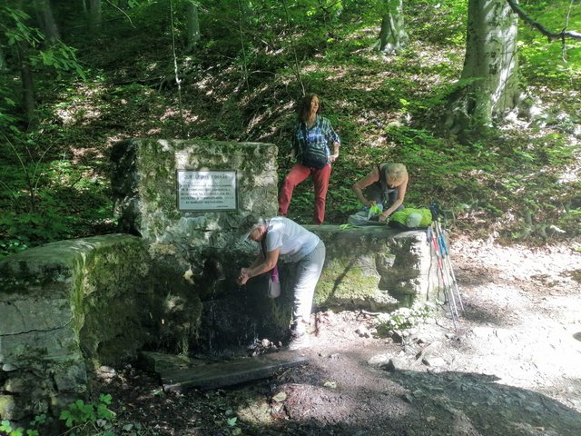 photo058.jpg