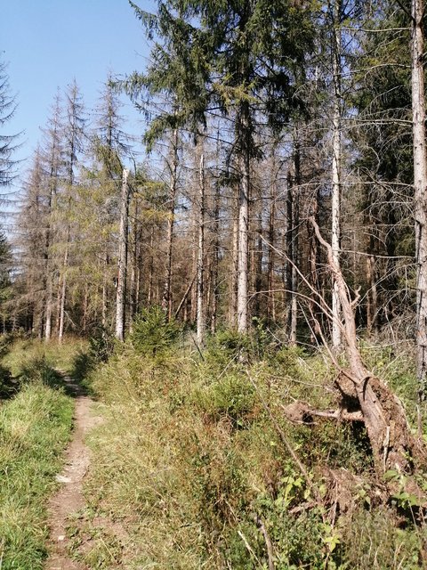 photo093.jpg