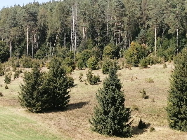 photo104.jpg