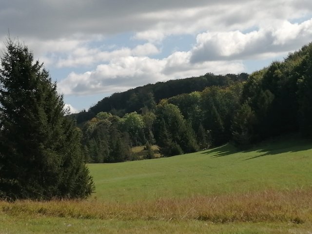 photo105.jpg