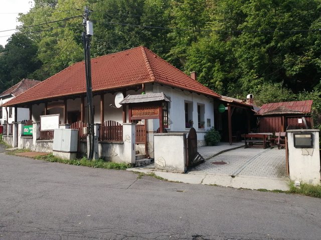 photo106.jpg