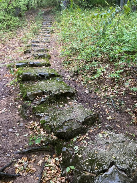 photo122.jpg