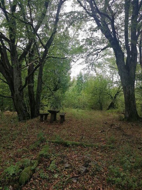 photo126.jpg