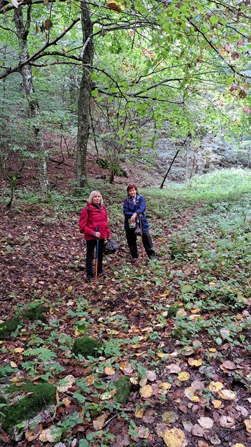 photo139.jpg