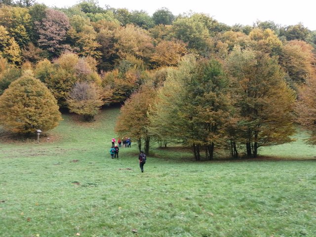 photo143.jpg