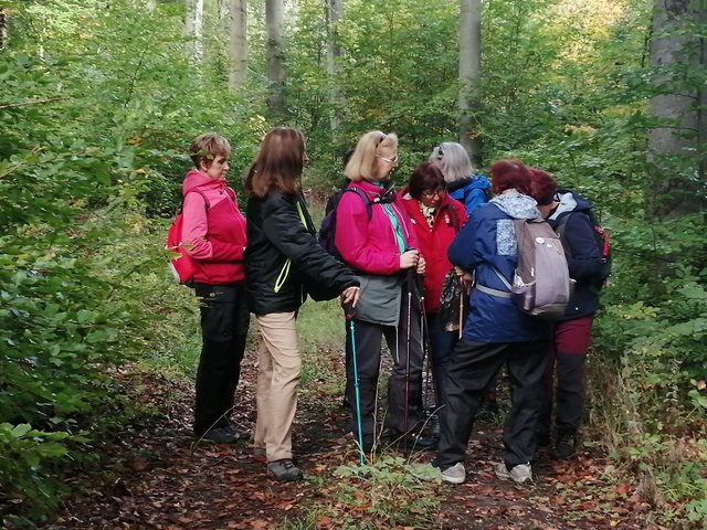photo149.jpg