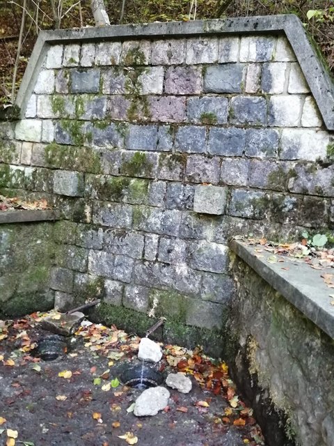 photo153.jpg