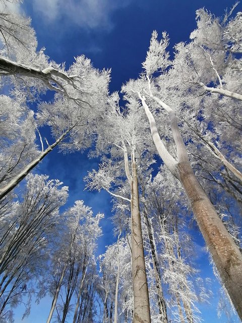photo180.jpg