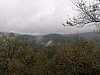 photo119.jpg