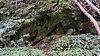 photo137.jpg