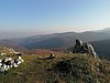 photo173.jpg