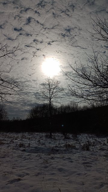 photo003.jpg
