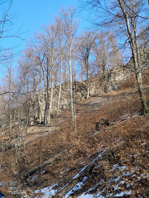 photo011.jpg