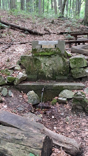photo107.jpg
